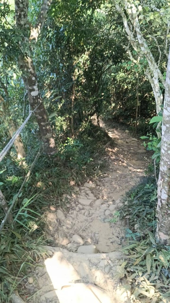 20251018 三義火炎山 南鞍古道 O型_2920539