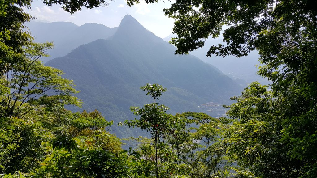 白毛山步道 2016 06 09_126309