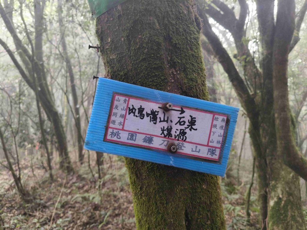 大混李棟重訓_2883595