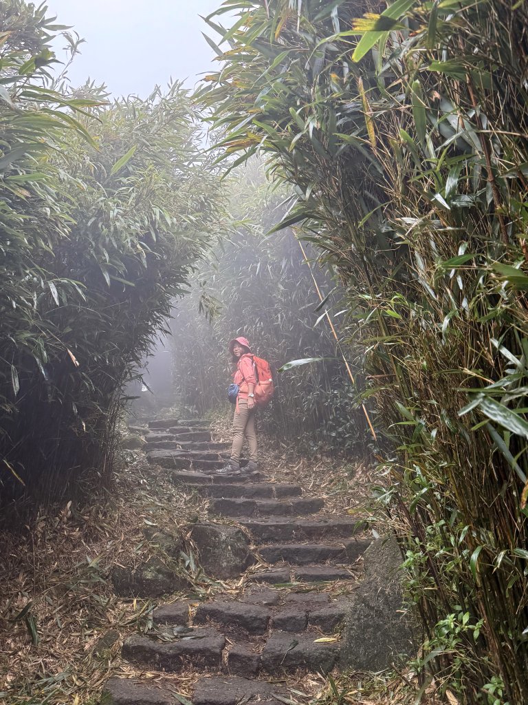 七星山 冷水坑上小油坑下環七星山人車分道O繞 20251108_2934888