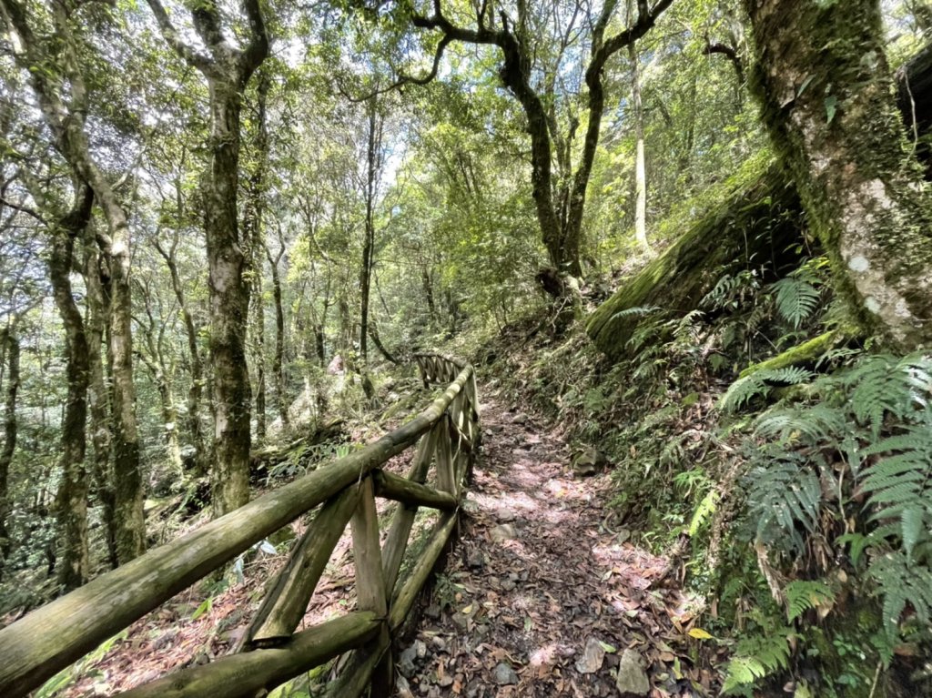 saolaiy酋長的山_1741813