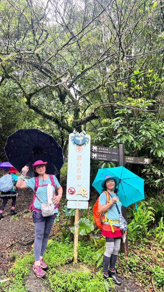🌈貂山古道-黃金地質公園-黃金神社🌈_2601302
