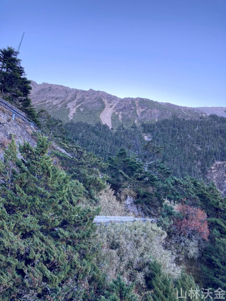 2023-11-27 玉山主峰_2365009