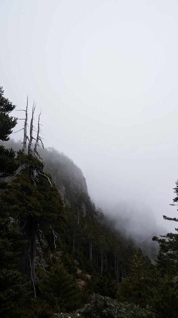 志佳陽雪山之毅_466098