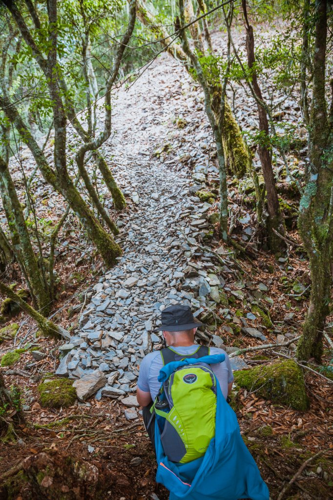 20200704-[台東] 戒茂斯山下新武呂溪_1634362