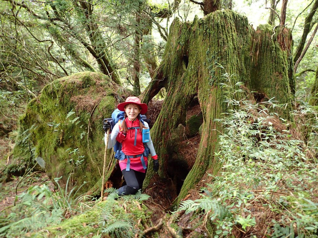 新阿溪縱走_446977