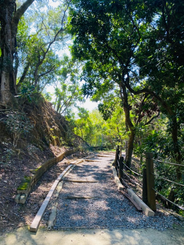 聚興山#40號小百岳_1619581