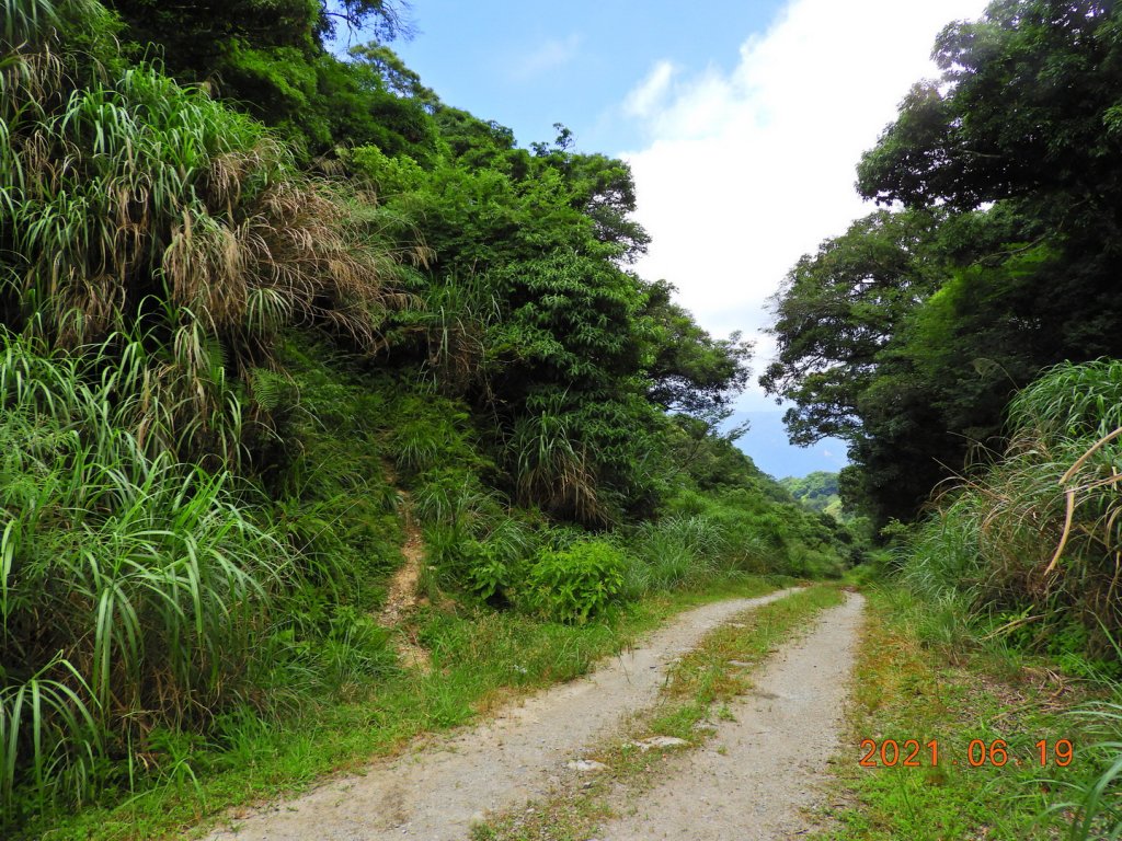 宜蘭 南澳 安平坑林道 - 蘭崁山_1417320