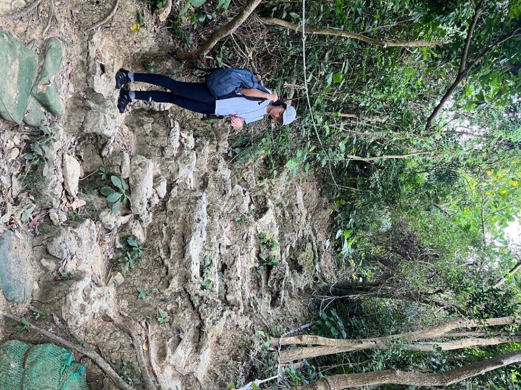 20251102_柴山（高雄小百岳）_2941434