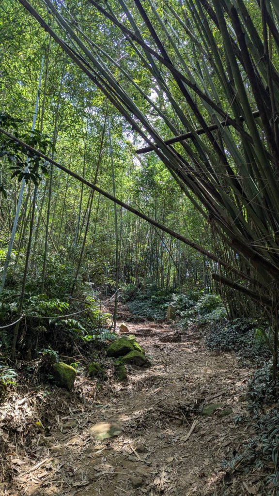 關刀山步道 (出關古道：聖關段)_2532857