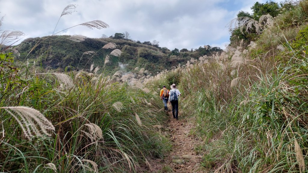 戀戀暖湯八煙溫泉古道_1990580