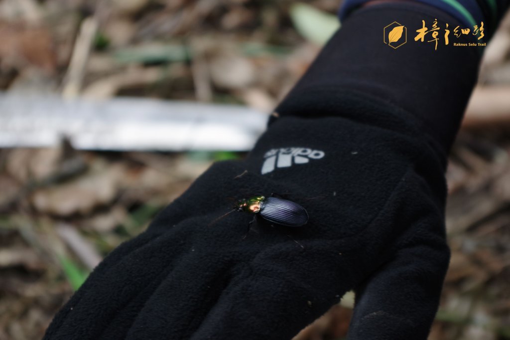 樟之細路 | 09/21砍草任務_686383