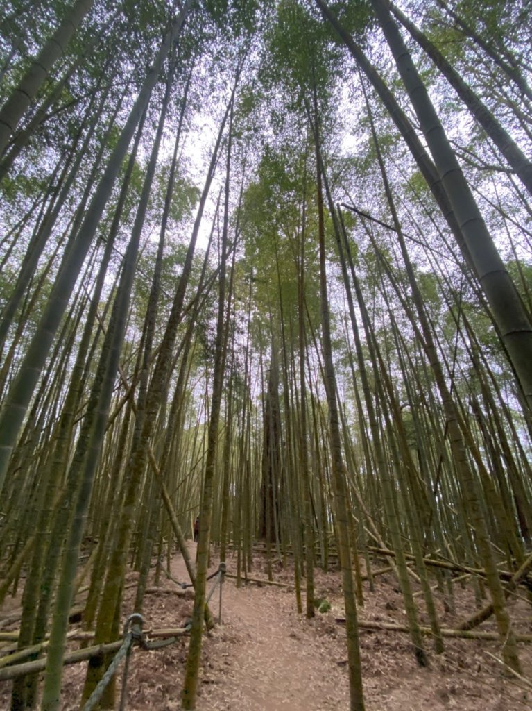 2022年02月13日(彰山協)南投日月潭四兄妹之中級山~大尖山縱走水社大山_1613490