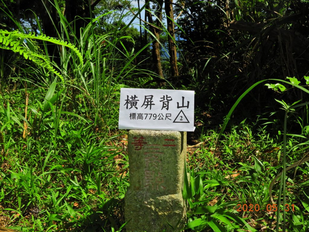 苗栗 南庄 橫坪背山封面圖