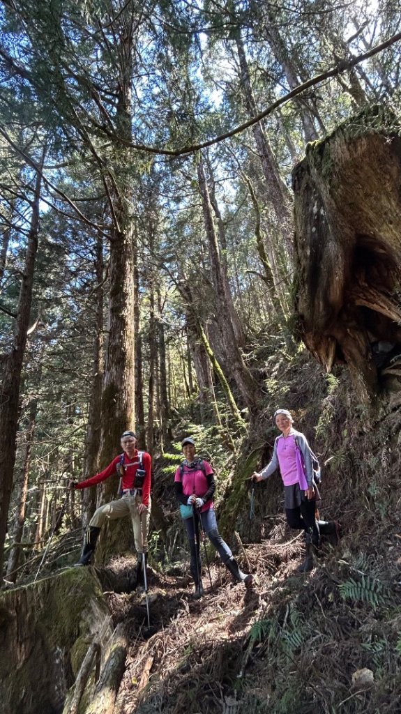 大同加羅湖穆魯洛亞滬庫霞四季警備道_2748254