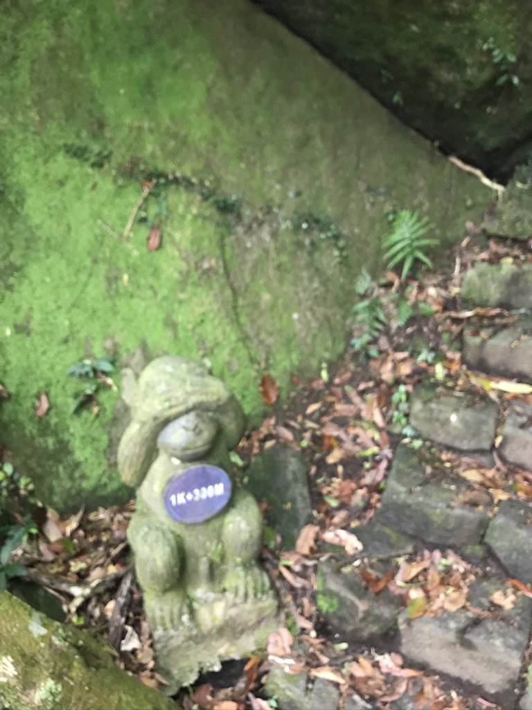 五指山之龜_915892