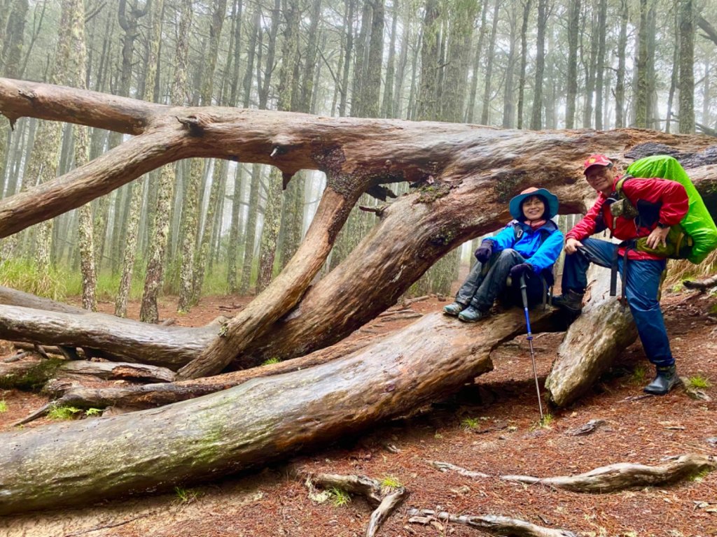 雨神同行之南湖群峰_2525623