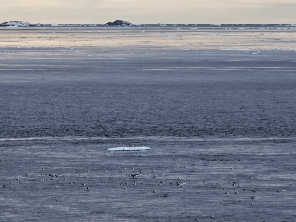 [紐約馬之行-27] 2025_1105 努克濱海木棧道(Nuuk Boardwalk)-下_2947649
