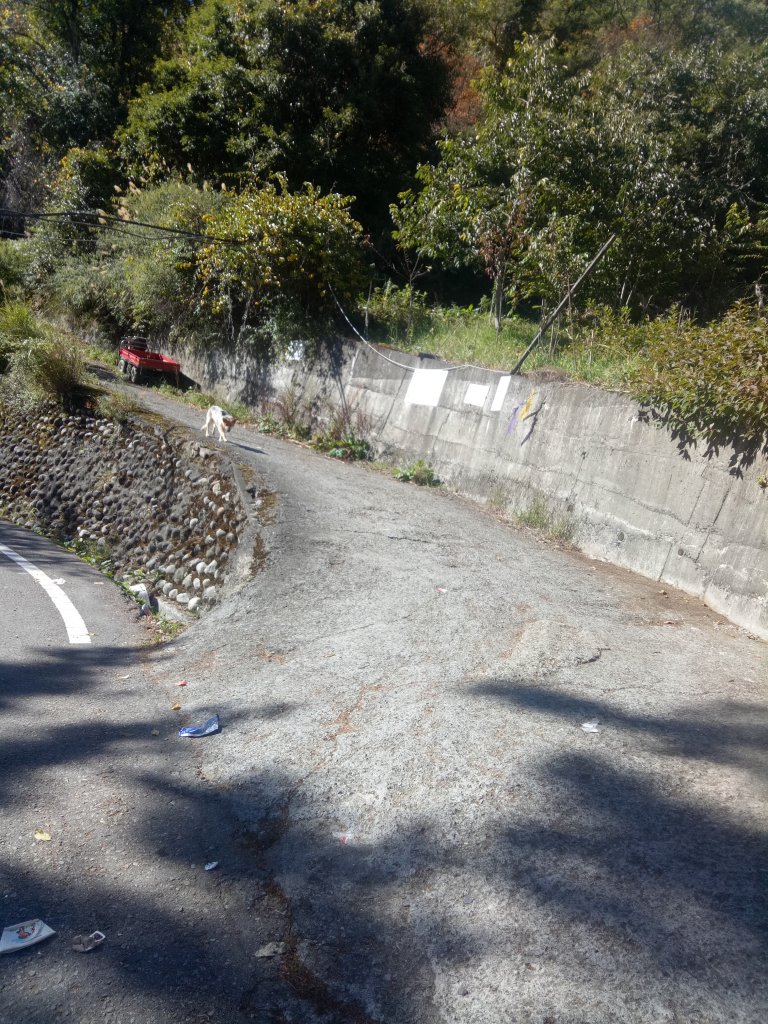 將軍廟上天鑾池+武法奈尾山_1880999