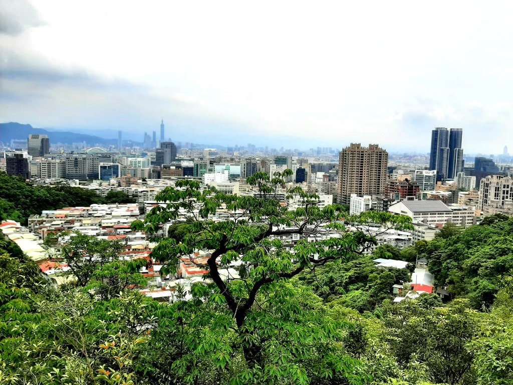 金面山、絹絲瀑布_2532431
