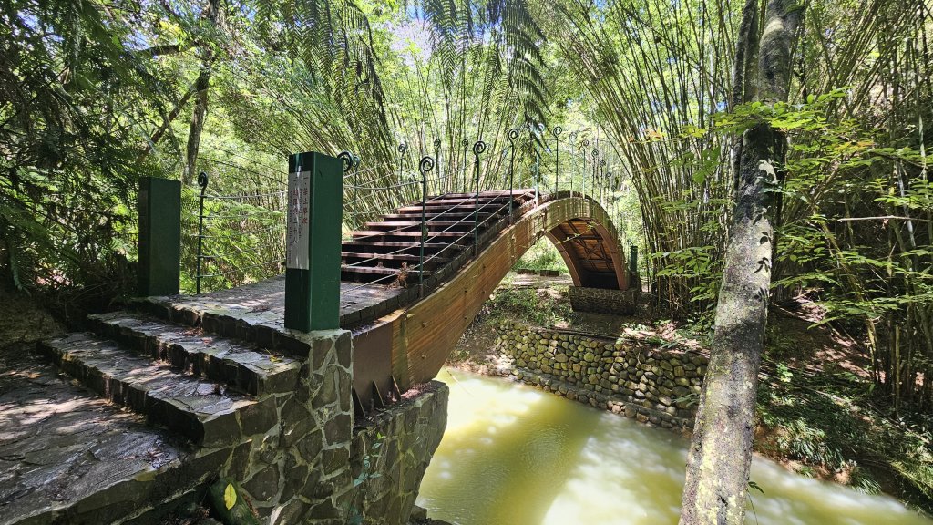 澀水森林步道_2538092