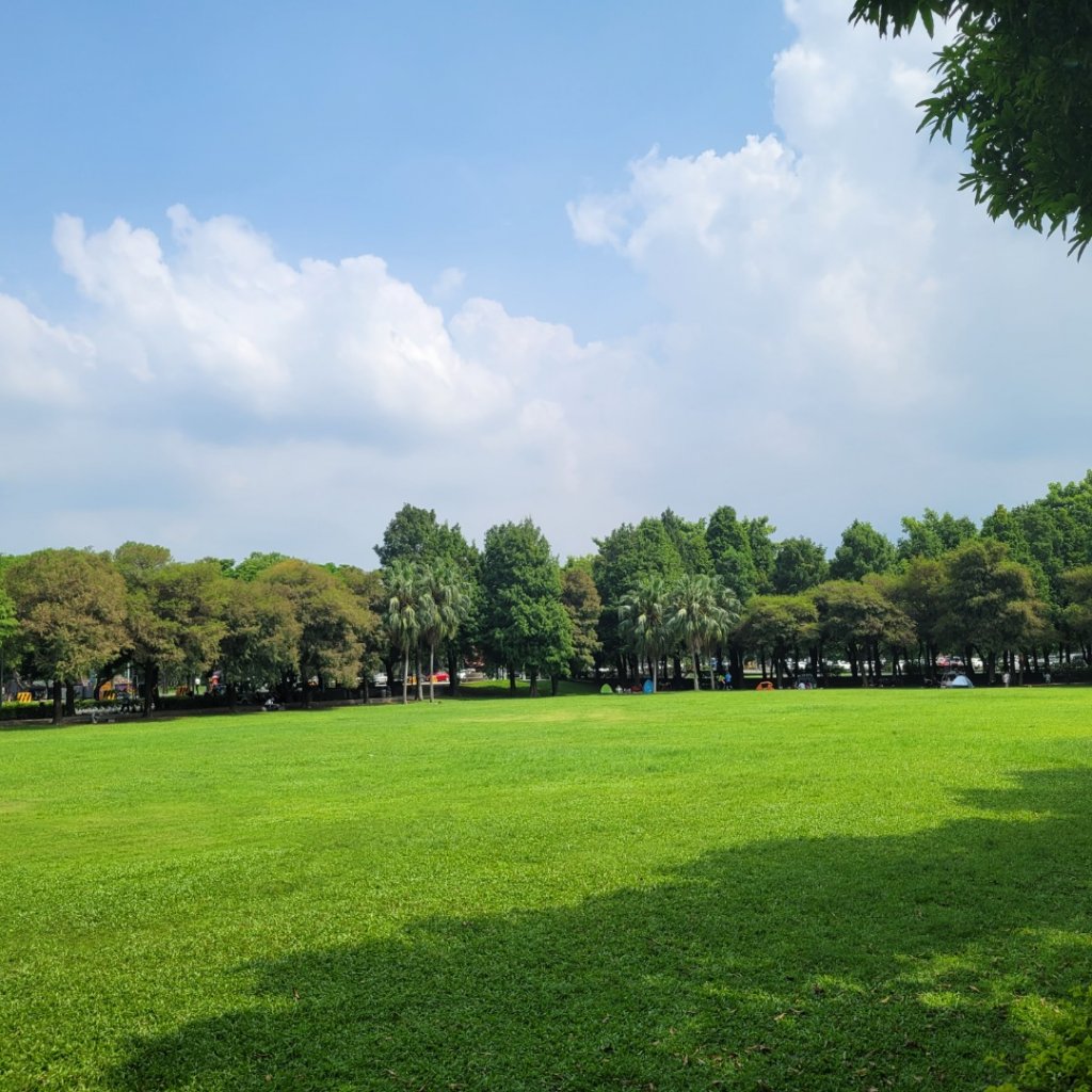 雲林古坑綠色隧道封面圖