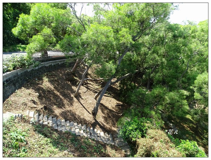 通霄/虎頭山步道_692022