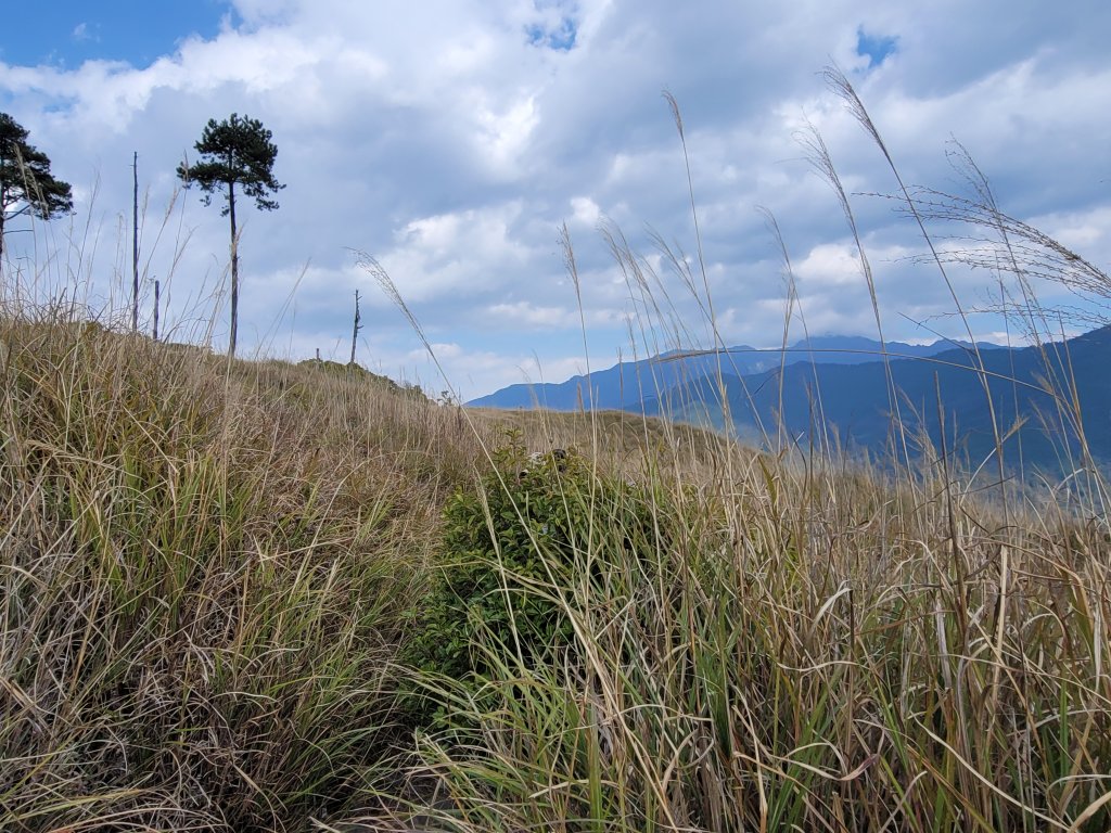 羅馬縱走_2440986