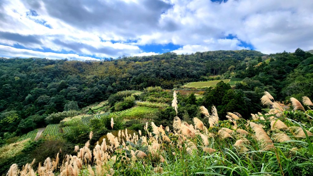 皇帝殿，坪林獅公髻尾山，文山指南宮千階步道（竹柏參道），十六分山，貓空尖，絹絲瀑布步道_1971293