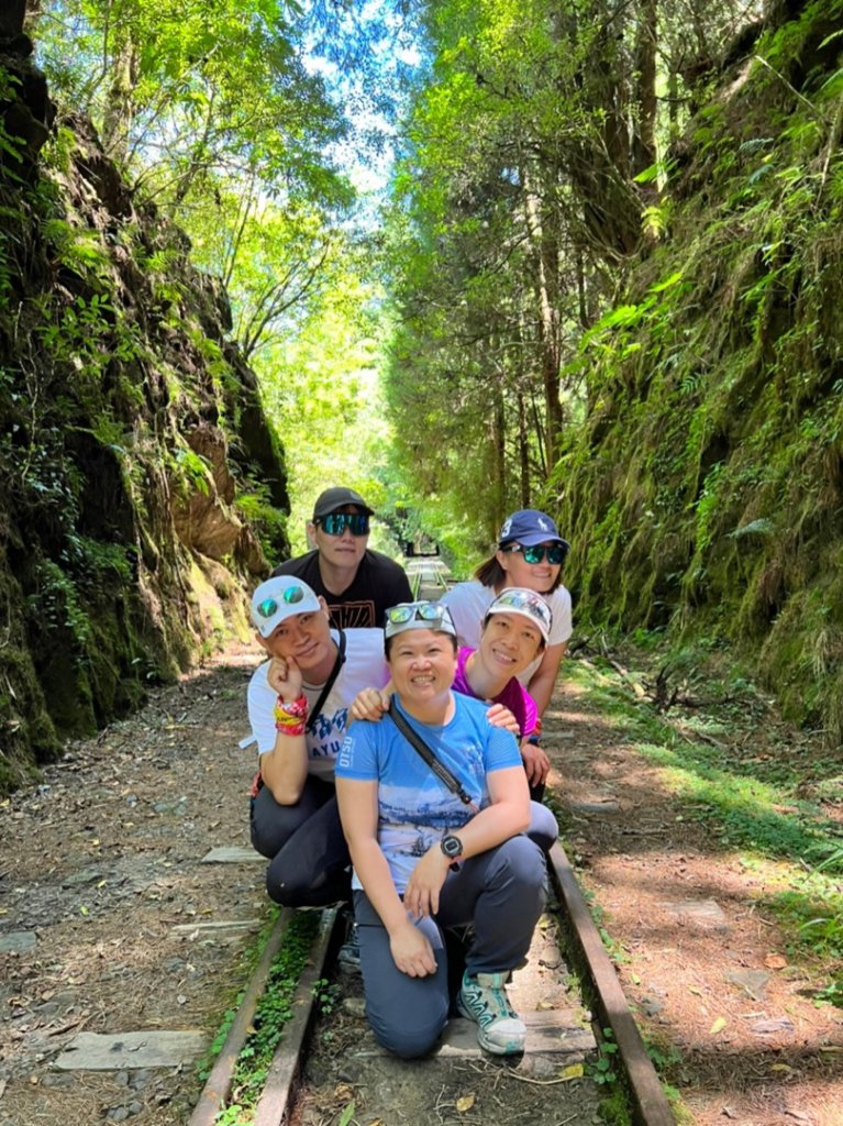 阿里山祝山日出，塔山步道，眠月線_1776780