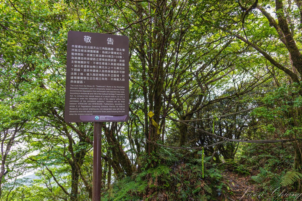 [桃園]北插天山磨練之旅_2532920