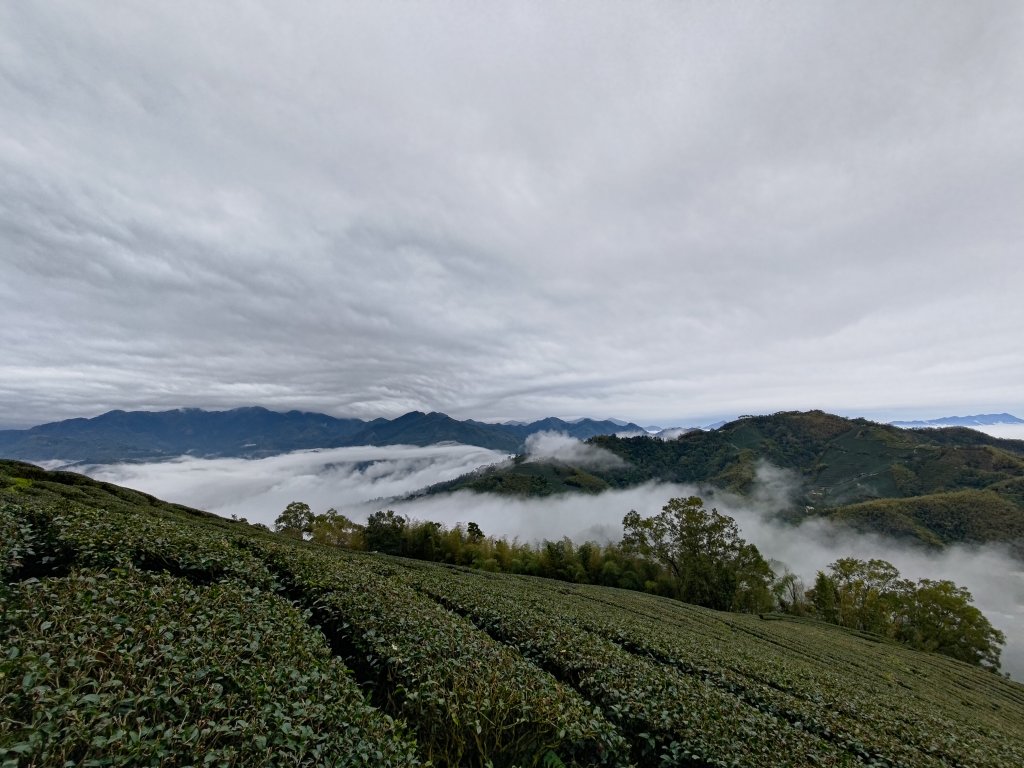 梨子腳山_2701263
