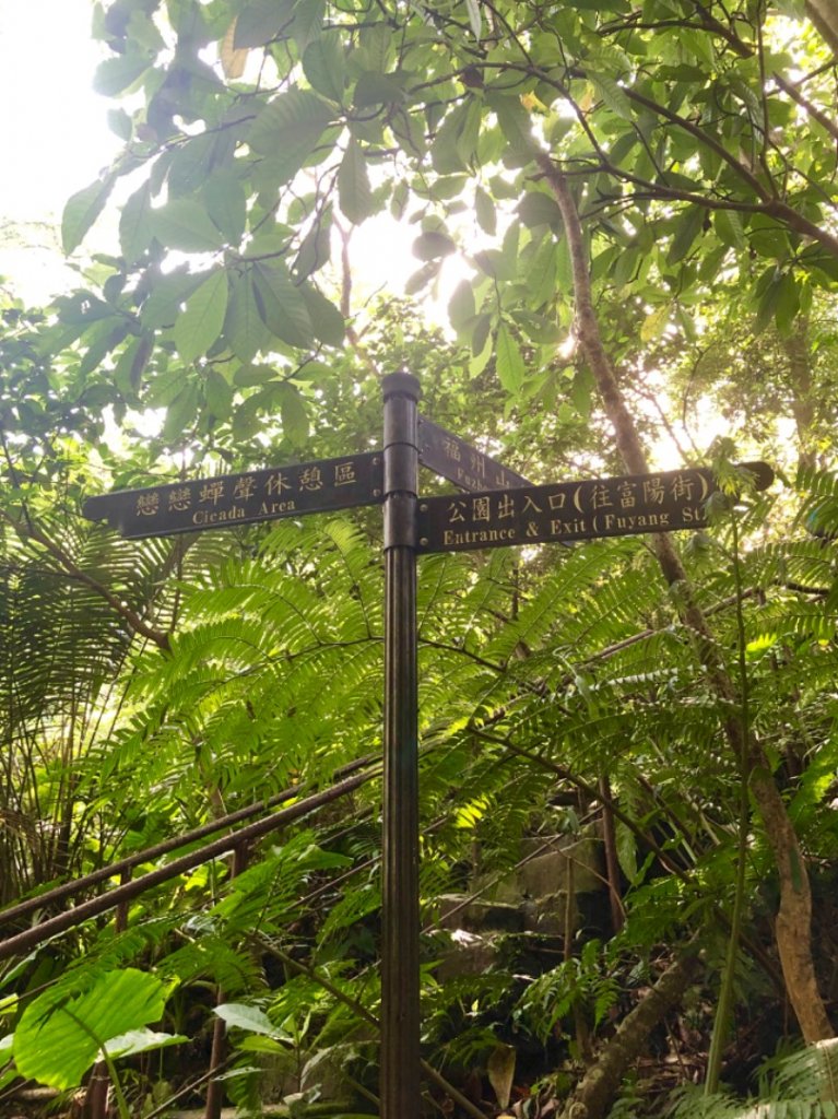 2019-08-10富陽公園、福州山_656089