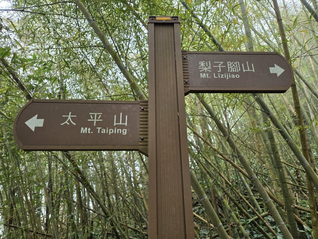 梨子腳山_2872323