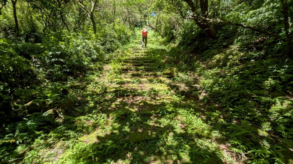 114.06.28內平林山-番子坑山-平湖森林遊樂區之O型_2824209