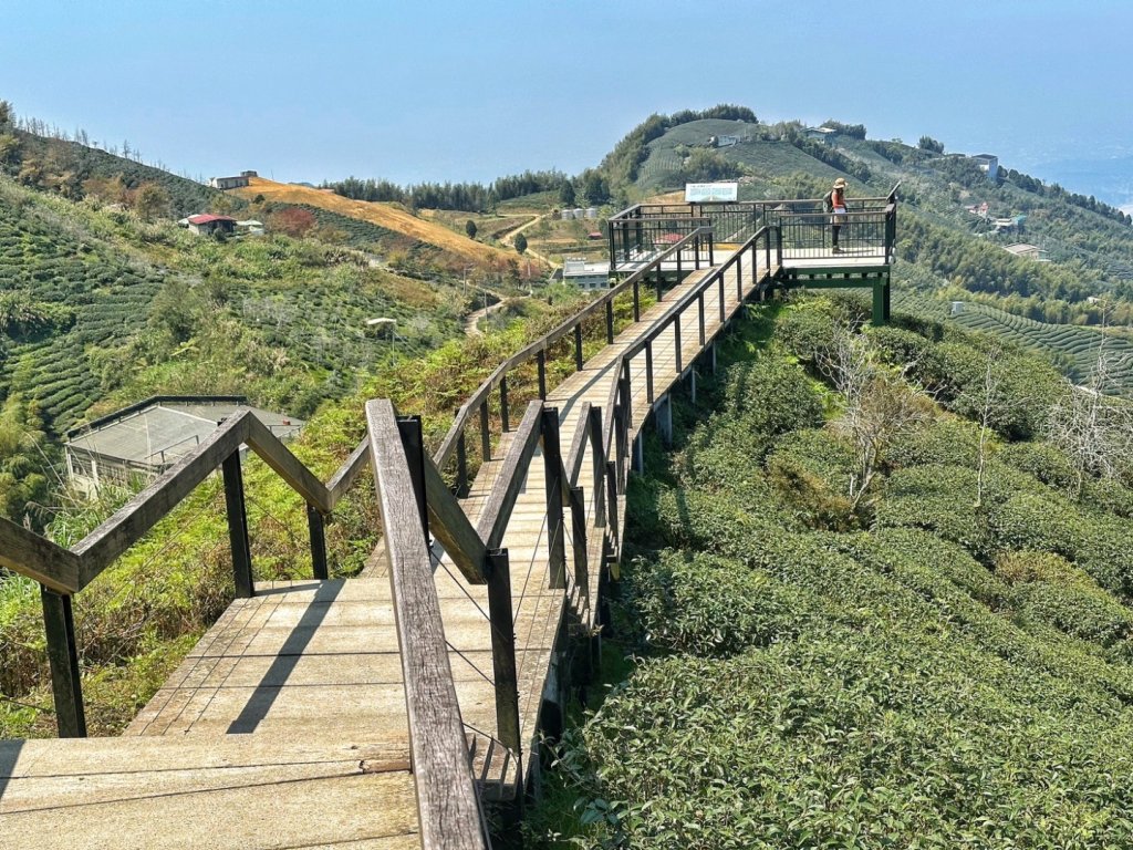 溪頭六連峰O繞_2741701