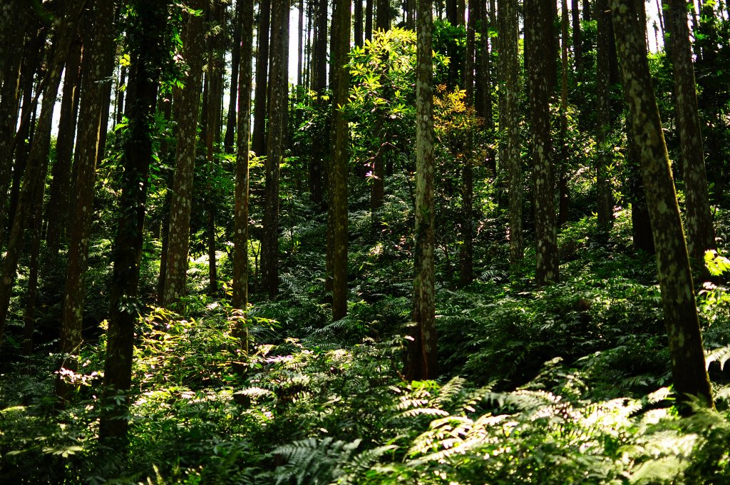 向天湖山光天高山O繞_936759