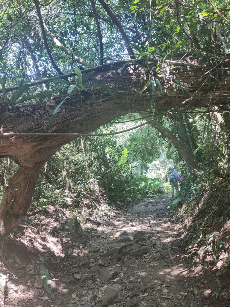 馬胎古道_1774198