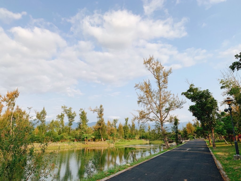 台東森林公園_552381