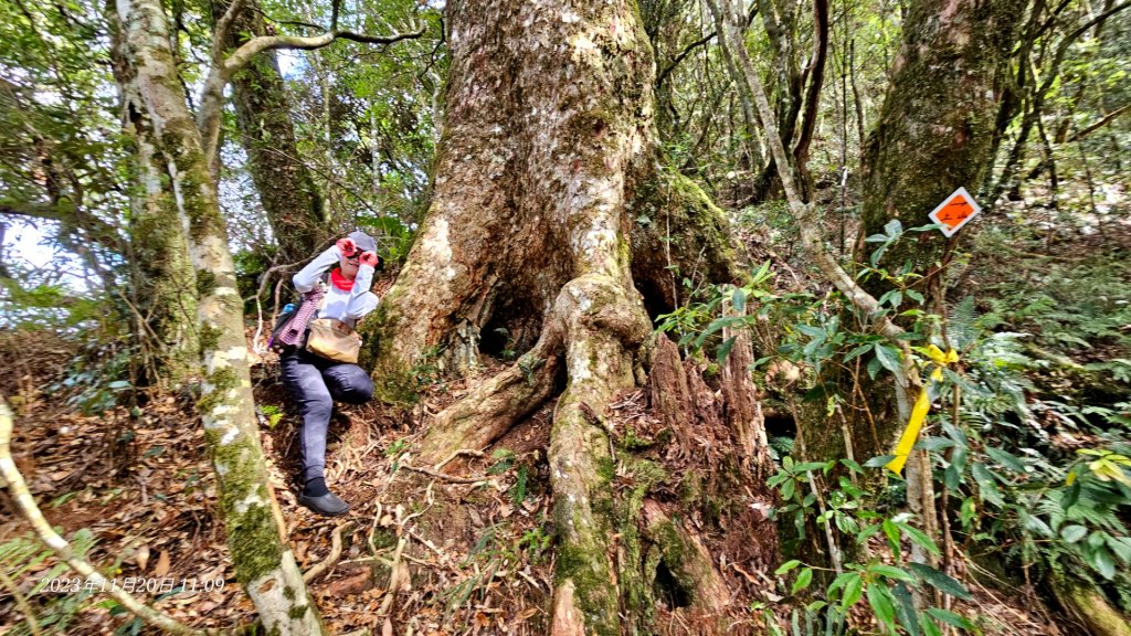 復興三尖之夫婦山_2356611