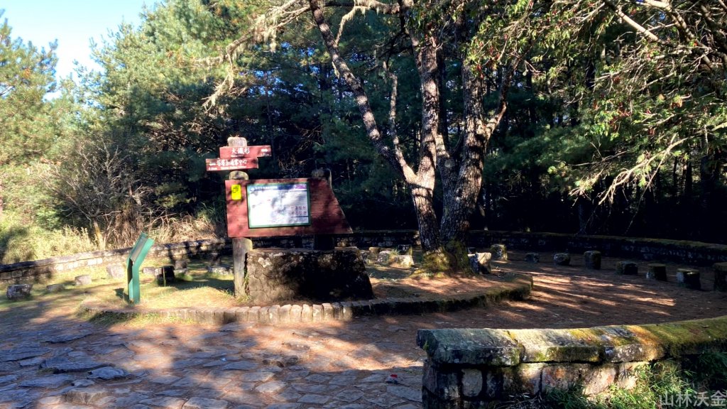 2023-11-26 東埔大草原步道_2363797