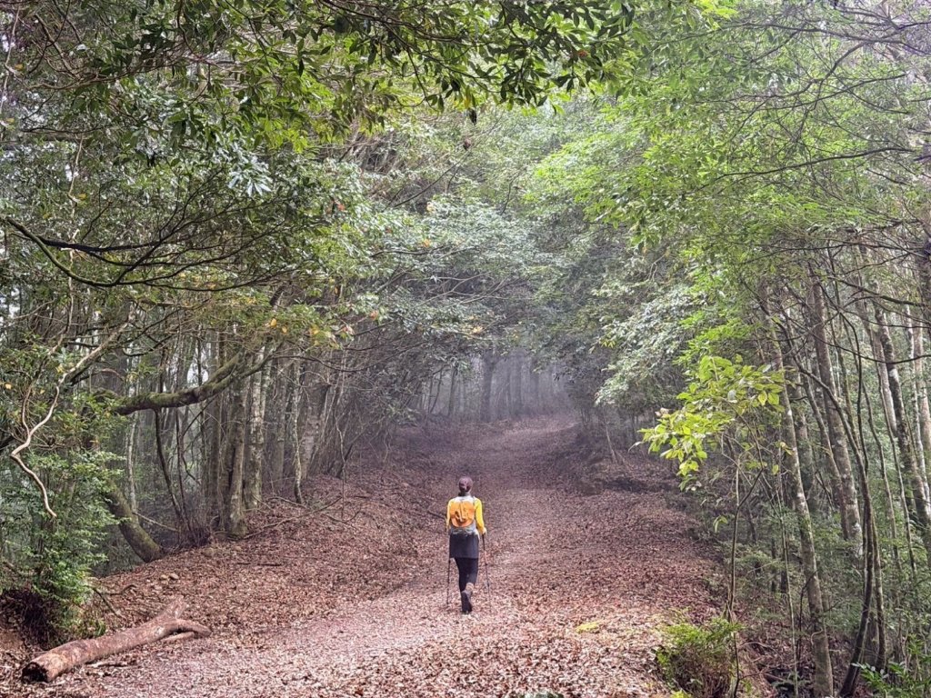 雪霸國家公園 雪見遊憩區 東洗水山_2928545