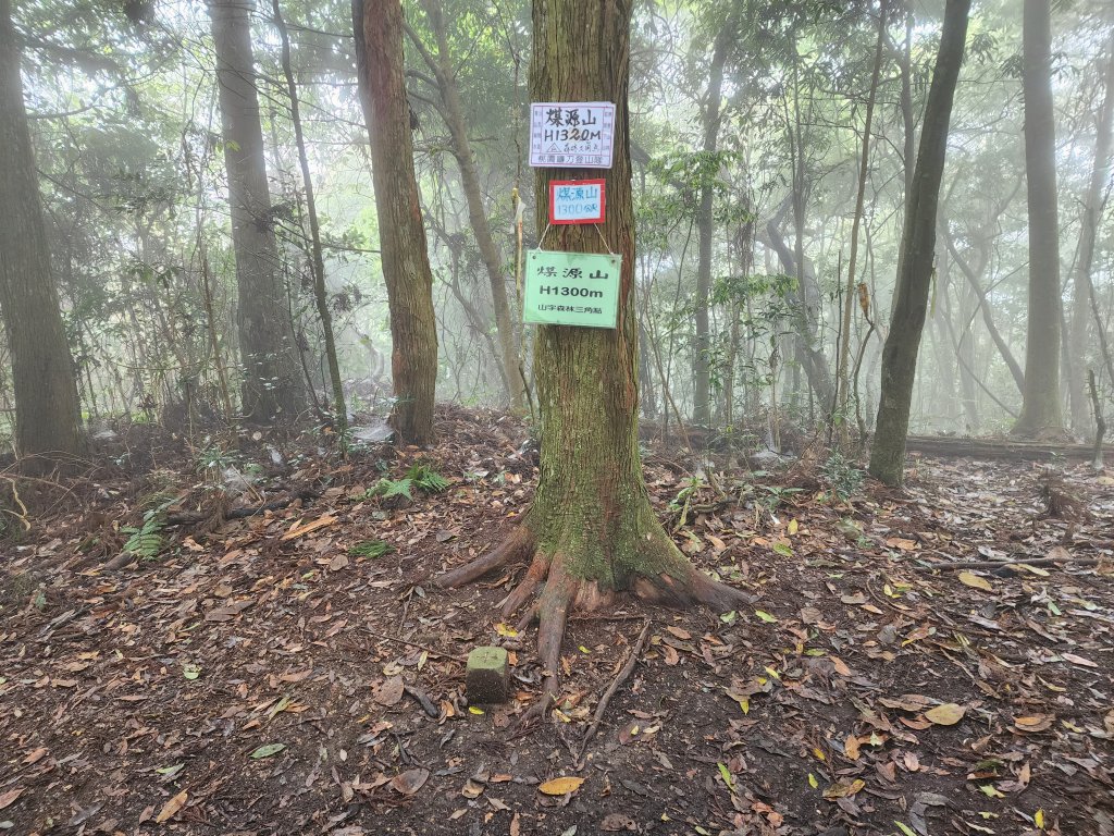 20230409那羅山、煤源山、大混山、道下山O型_2141978