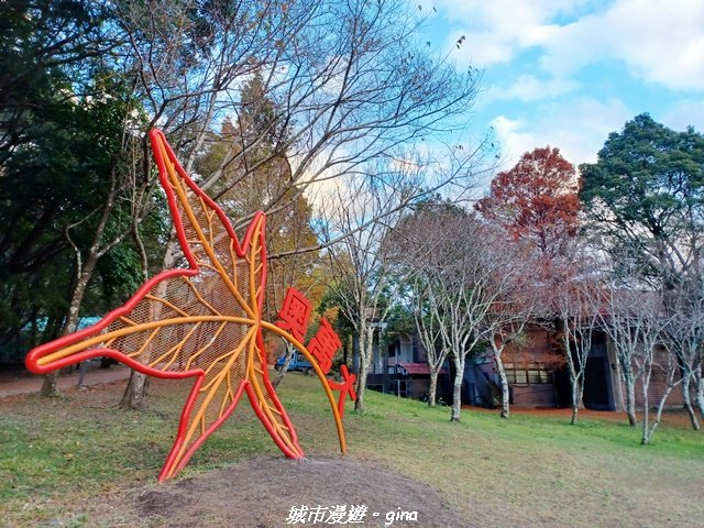 【南投仁愛】光影下的森林療育。 奧萬大國家森林遊樂區步道群_2973072