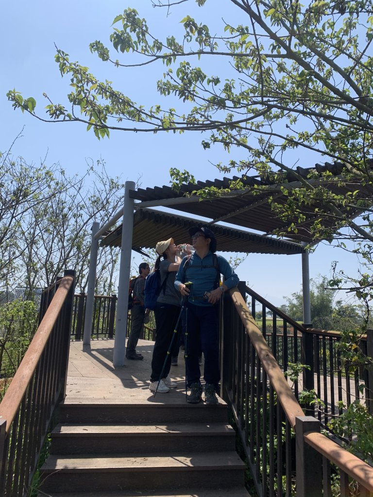 20250322南投松柏坑山-大棚山_2745880