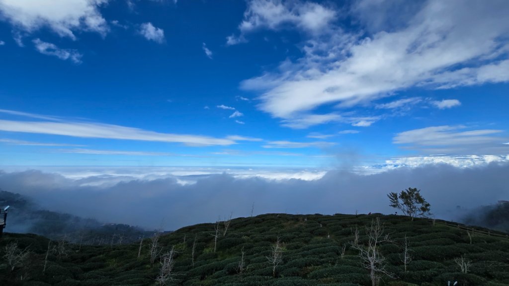 溪頭五連峰O繞（大崙頭／樟空倫／貓冬望／志騰／竹崙）_2652408