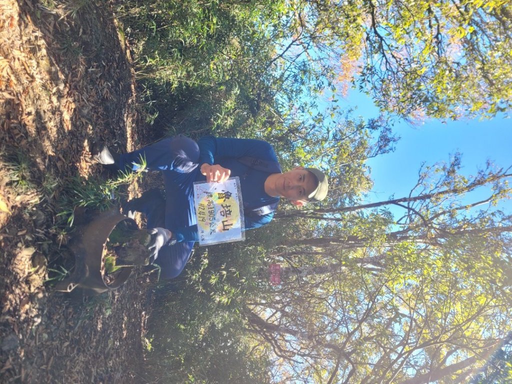 20231118 南插天山 魯培山 山毛櫸秘境_2355674