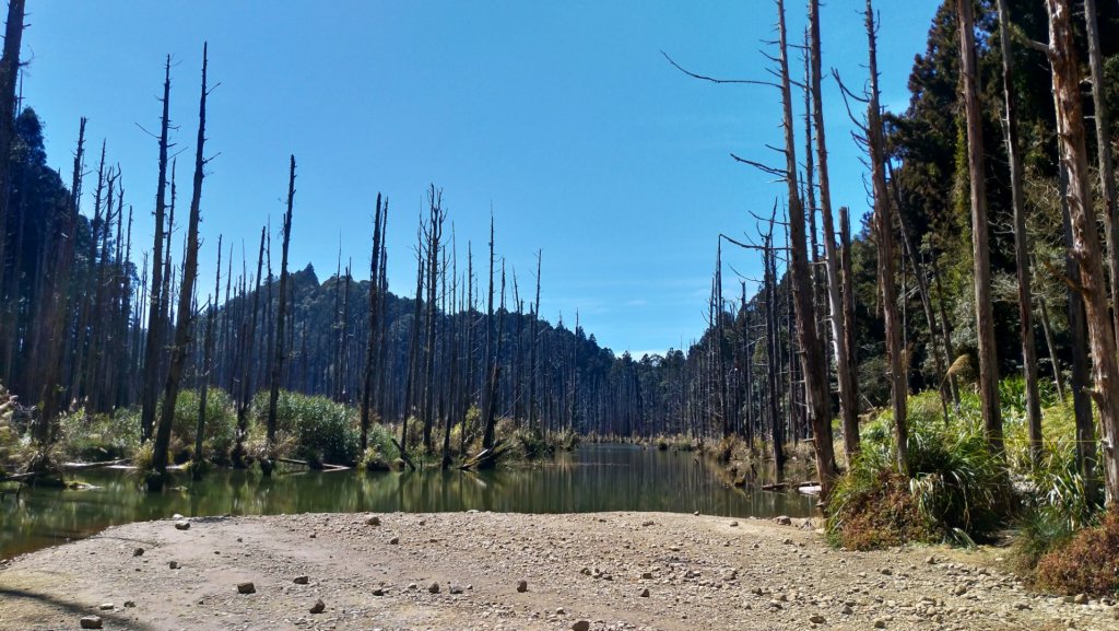 一日【水漾森林-鹿屈山】_1280987