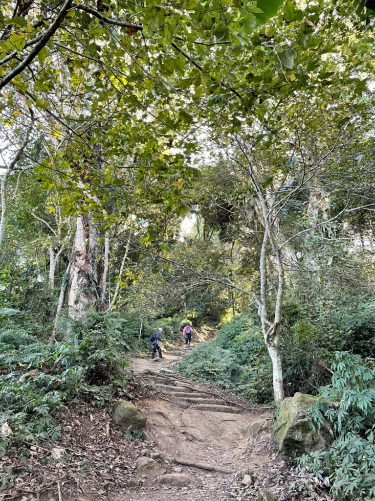 馬那邦山賞楓趣_1549544