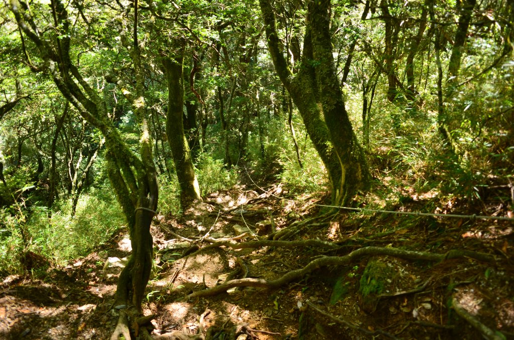 1120923單攻羊頭山之行_2292031